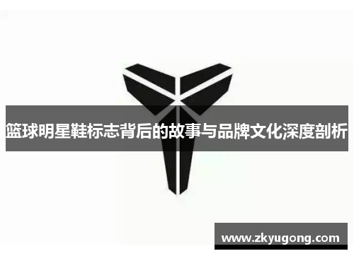 篮球明星鞋标志背后的故事与品牌文化深度剖析